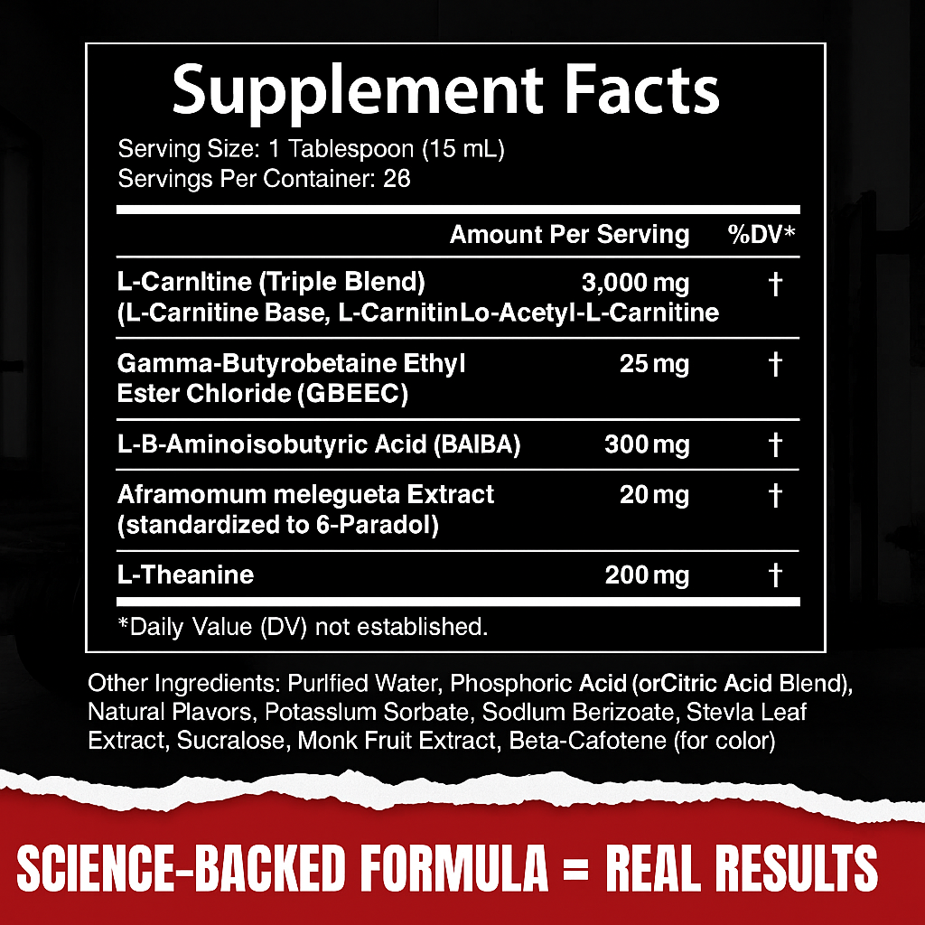 Veylo - Carnitine 3000 Liquid