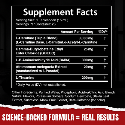 Veylo - Carnitine 3000 Liquid