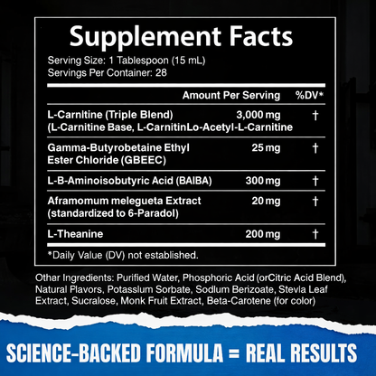 Veylo - Premium Carnitine 3000 Liquid